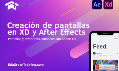 Curso Certificado Creación de pantallas en Adobe XD y AE