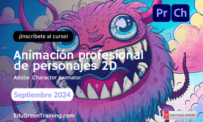 Animación profesional  de personajes 2D