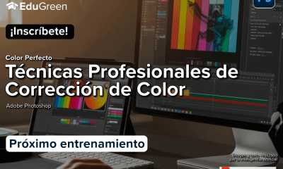 Técnicas Profesionales de Corrección de Color